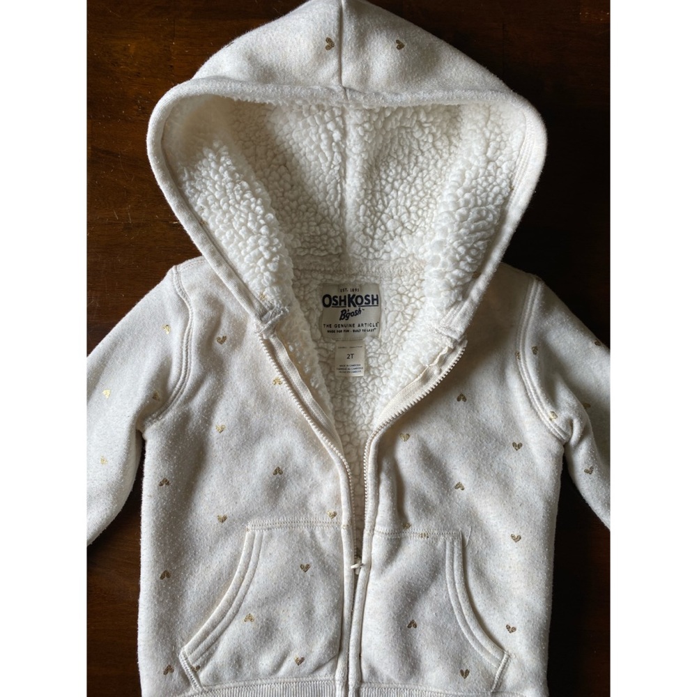 🌻 3/$10 Sherpa Lined Hoodie